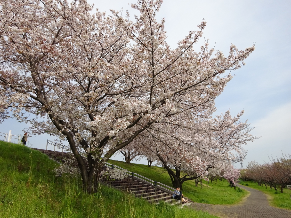 f:id:dancingbrave1986:20140207231817j:plain f:id:dancingbrave1986:20140207231817j:plain