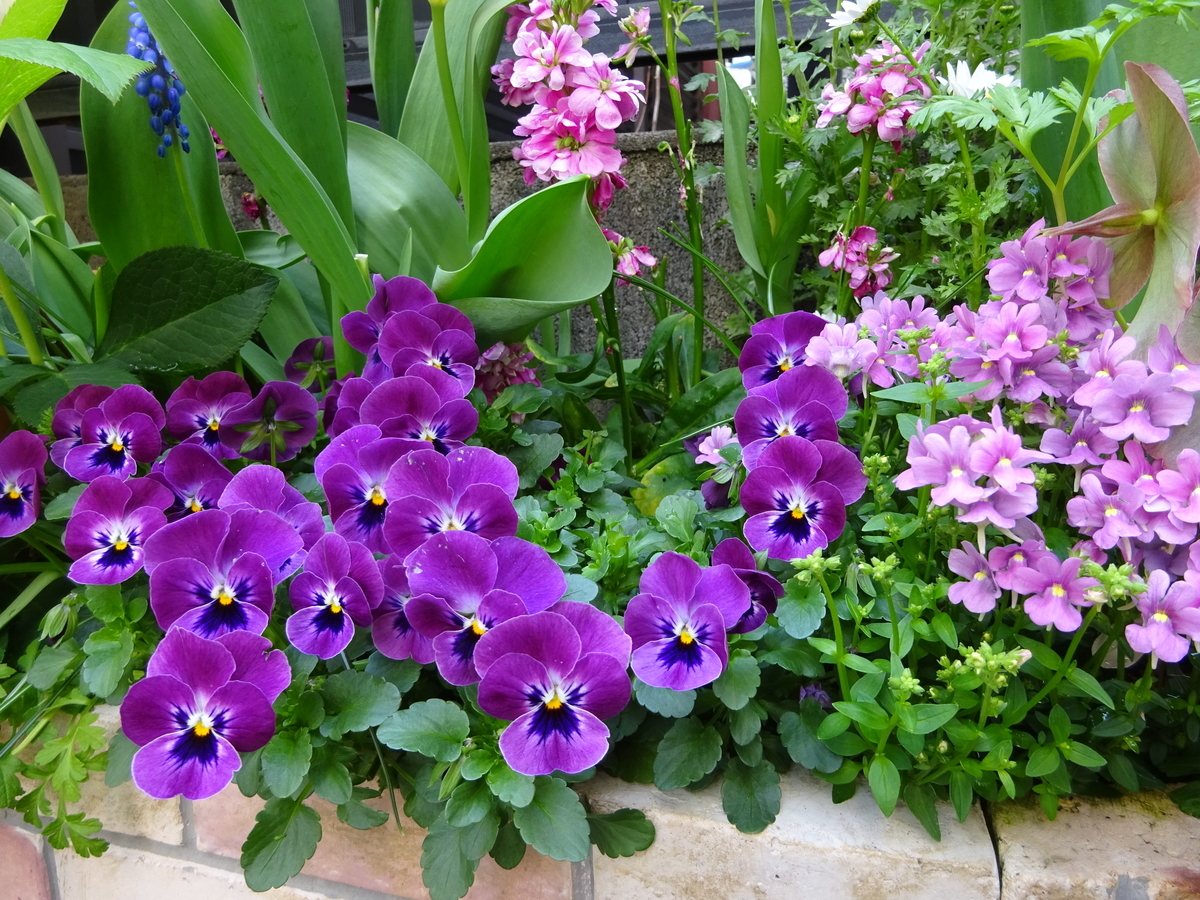 f:id:dancingbrave1986:20140208204231j:plain f:id:dancingbrave1986:20140208204231j:plain