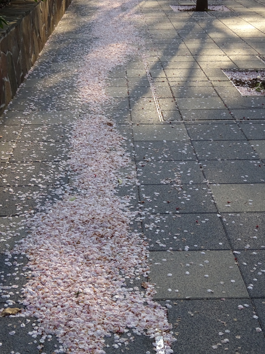 f:id:dancingbrave1986:20140209013846j:plain f:id:dancingbrave1986:20140209013846j:plain