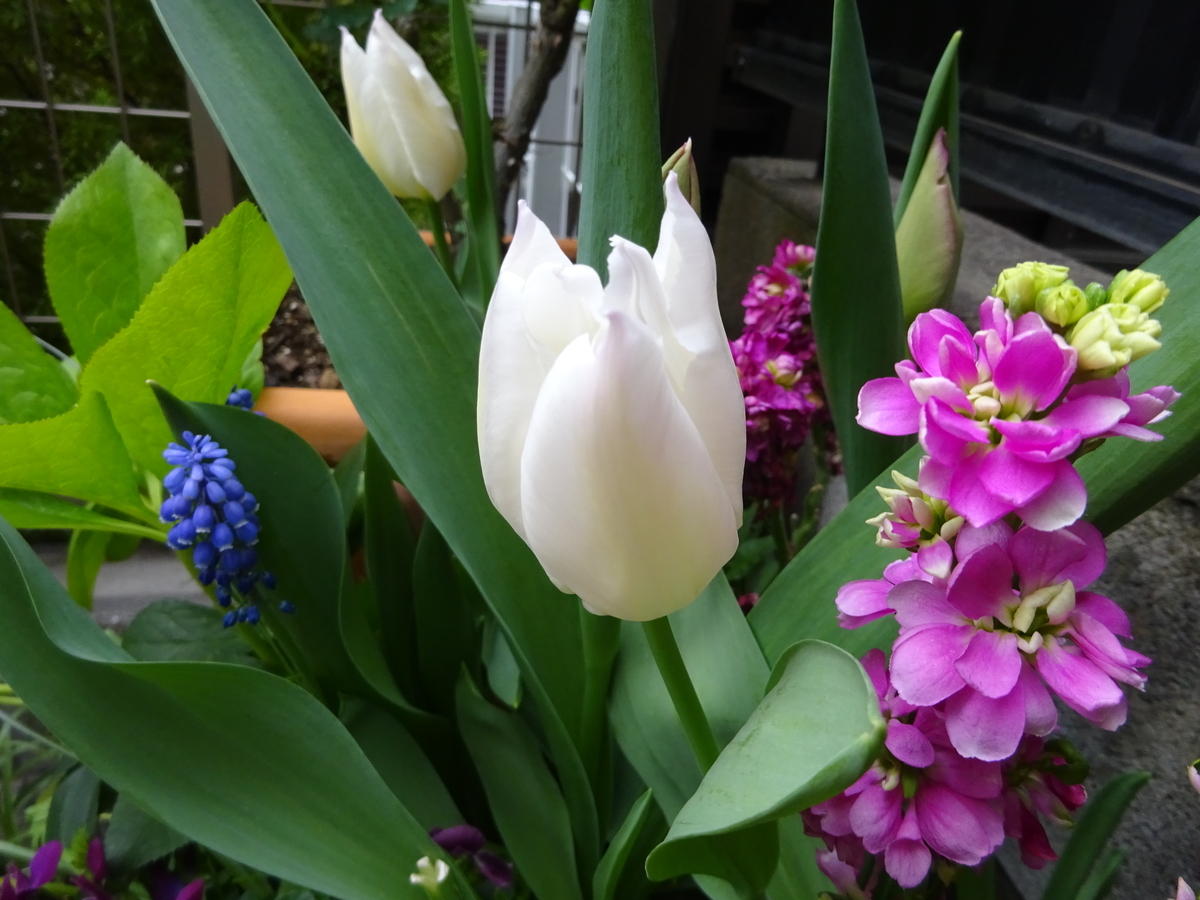 f:id:dancingbrave1986:20140209193343j:plain f:id:dancingbrave1986:20140209193343j:plain