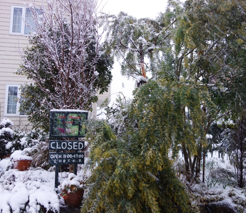 f:id:dancingbrave1986:20140214163802j:image