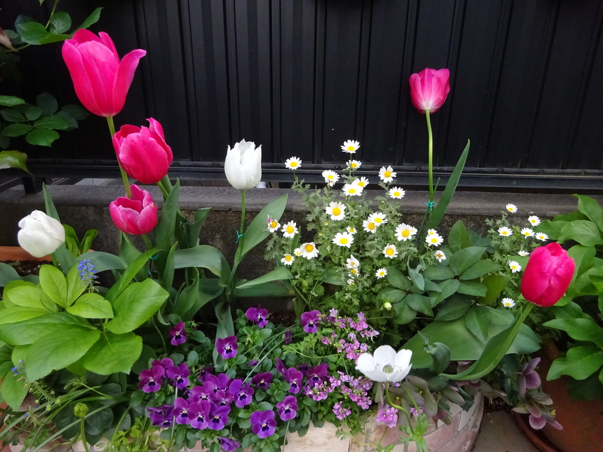 f:id:dancingbrave1986:20140224023521j:plain