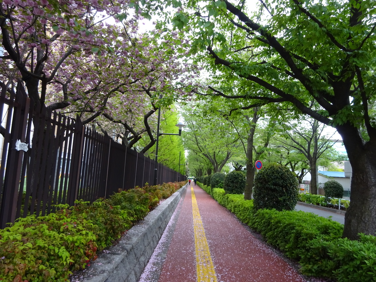 f:id:dancingbrave1986:20140227002056j:plain