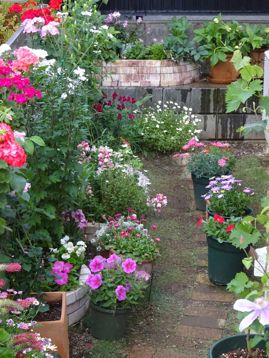 f:id:dancingbrave1986:20140320021308j:plain