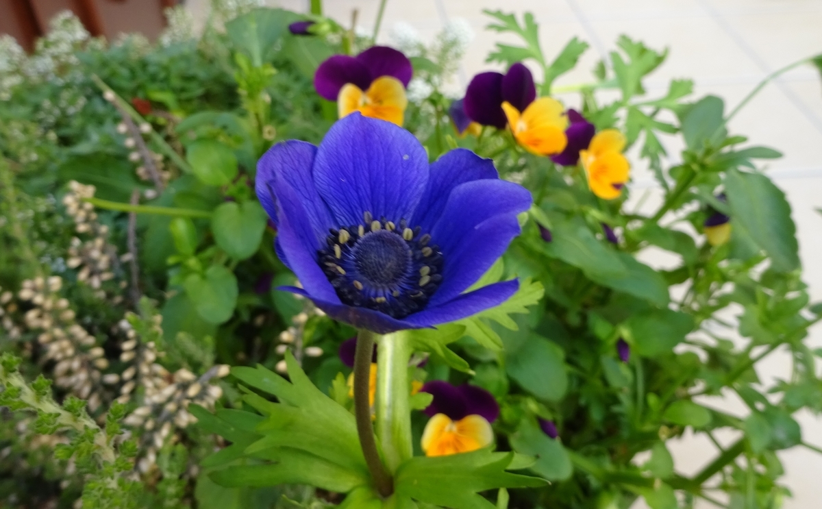 f:id:dancingbrave1986:20140324022126j:plain f:id:dancingbrave1986:20140324022126j:plain