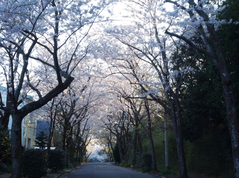 f:id:dancingbrave1986:20140404171455j:image