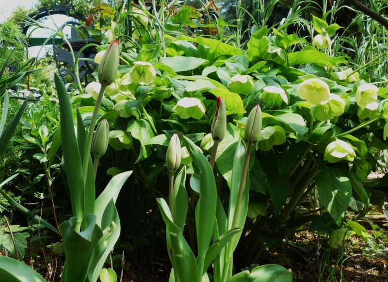 f:id:dancingbrave1986:20140411120703j:image f:id:dancingbrave1986:20140411120703j:image