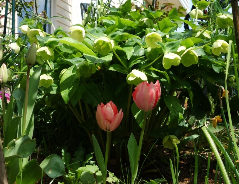 f:id:dancingbrave1986:20140411120729j:image f:id:dancingbrave1986:20140411120729j:image