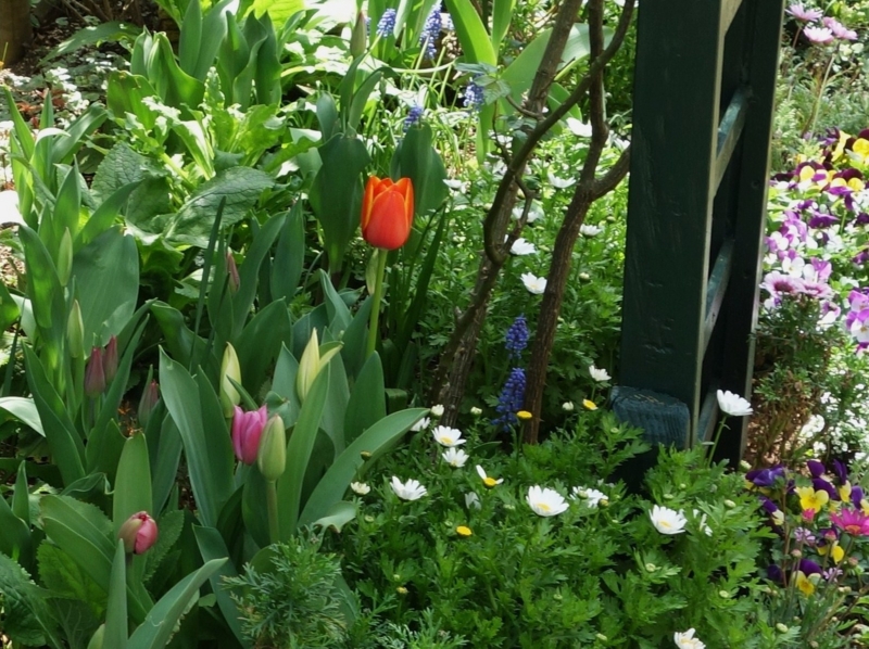 f:id:dancingbrave1986:20140411121029j:image f:id:dancingbrave1986:20140411121029j:image