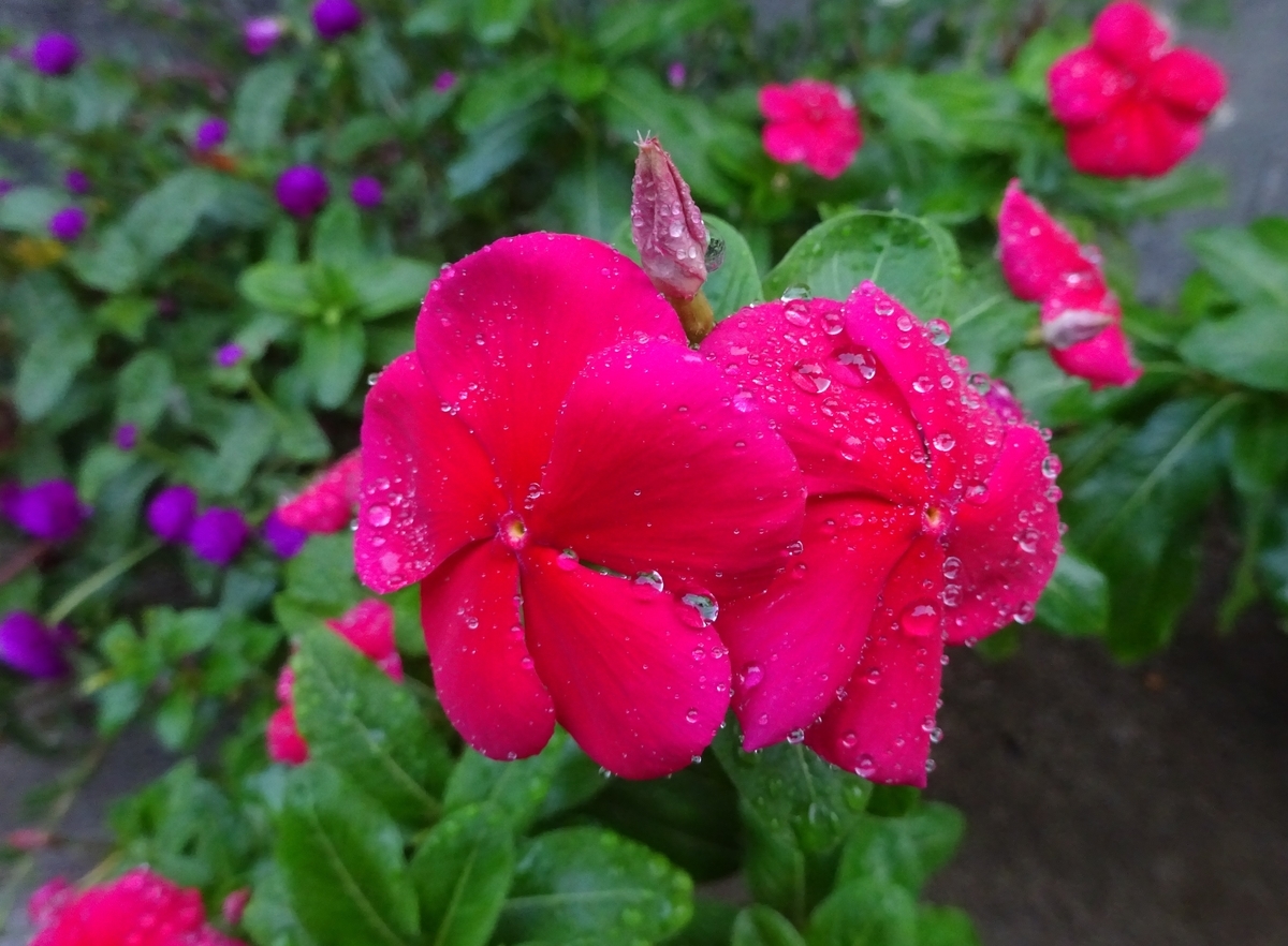 f:id:dancingbrave1986:20140802021738j:plain