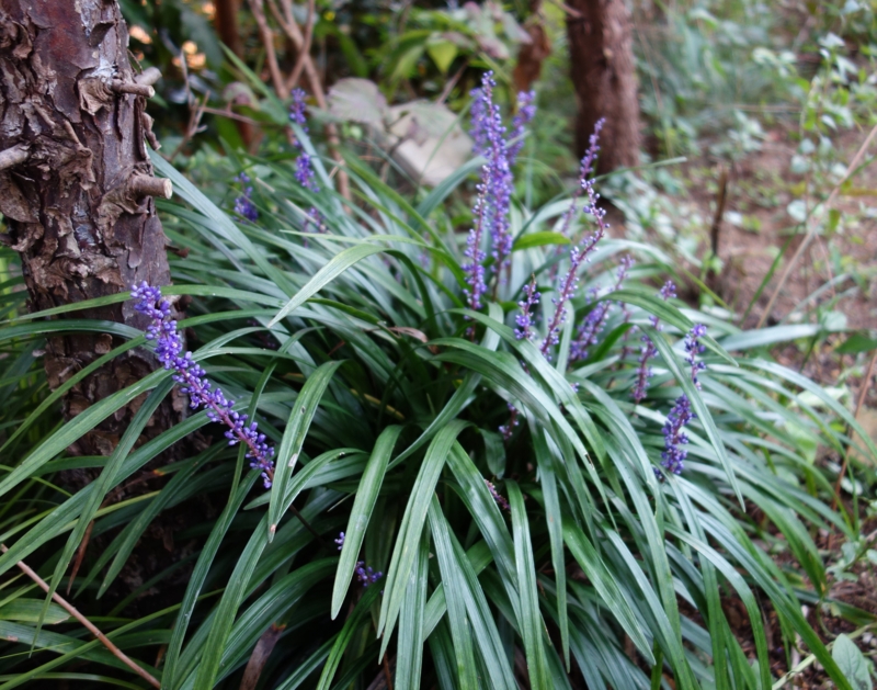 f:id:dancingbrave1986:20140922160342j:image