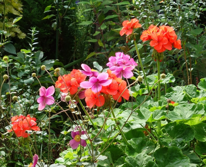 f:id:dancingbrave1986:20141004111714j:image f:id:dancingbrave1986:20141004111714j:image