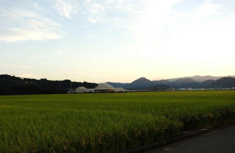 f:id:dancingbrave1986:20141006172543j:image