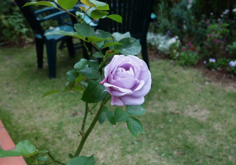 f:id:dancingbrave1986:20141027125414j:image