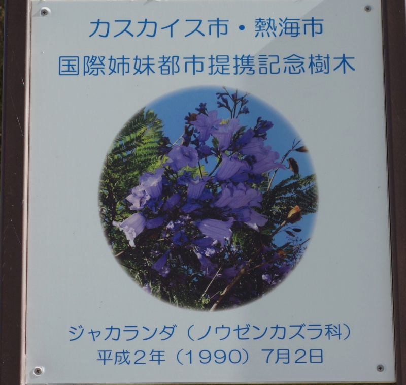 f:id:dancingbrave1986:20141113121713j:image