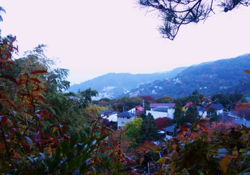f:id:dancingbrave1986:20141123164139j:image