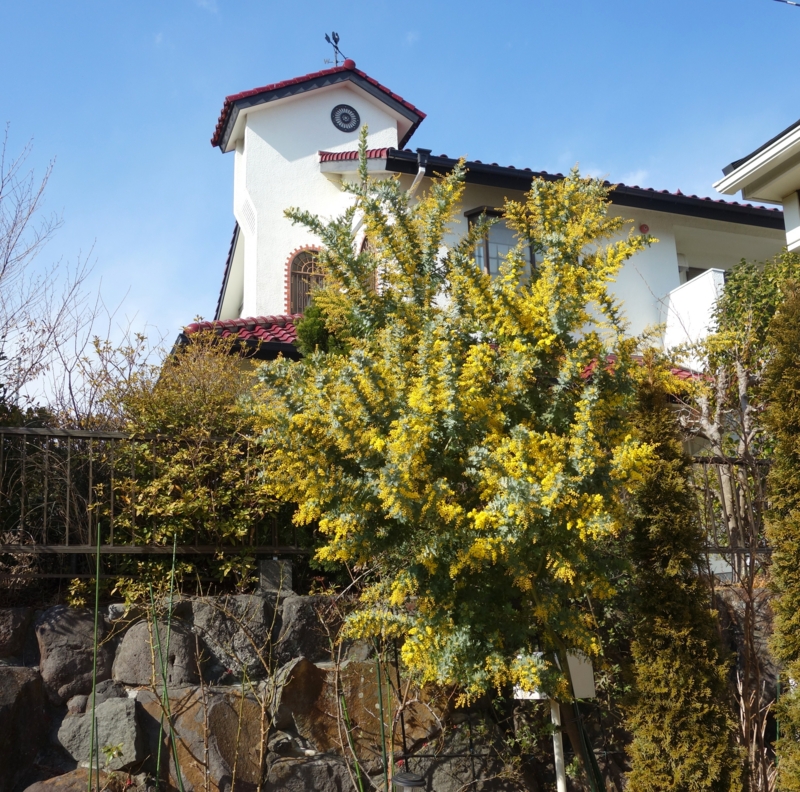 f:id:dancingbrave1986:20150220141545j:image