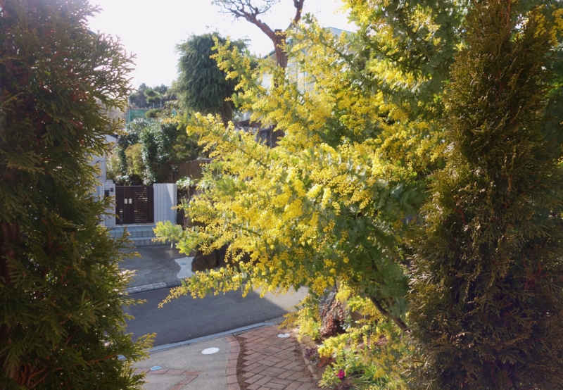 f:id:dancingbrave1986:20150220142726j:image