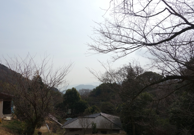 f:id:dancingbrave1986:20150224124446j:image