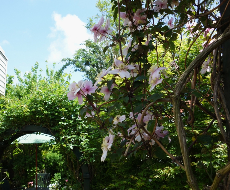 f:id:dancingbrave1986:20150503110745j:image