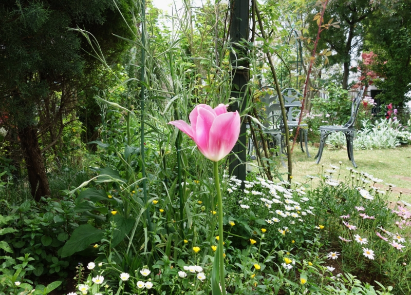 f:id:dancingbrave1986:20150504111059j:image