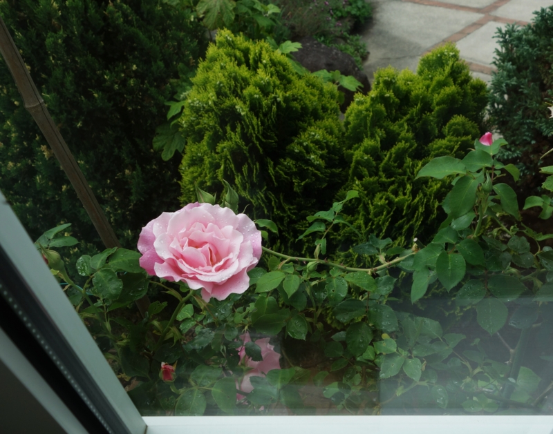 f:id:dancingbrave1986:20150504113801j:image