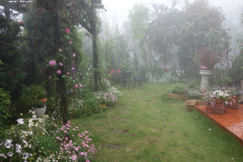 f:id:dancingbrave1986:20150516115146j:image