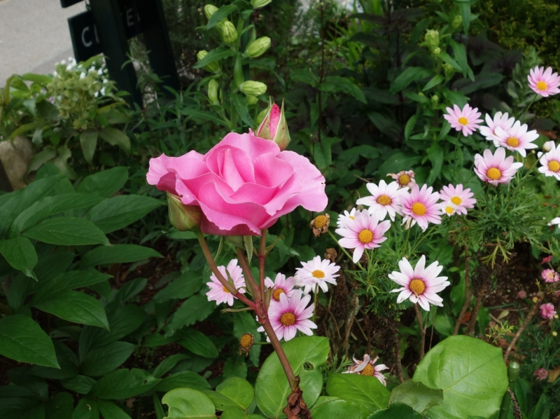 f:id:dancingbrave1986:20150518103425j:image