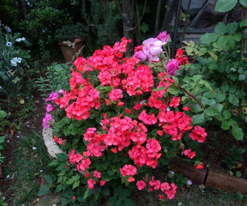 f:id:dancingbrave1986:20150529173954j:image