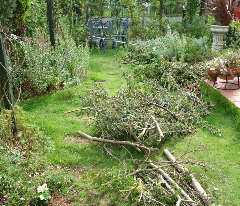 f:id:dancingbrave1986:20150724155801j:image f:id:dancingbrave1986:20150724155801j:image