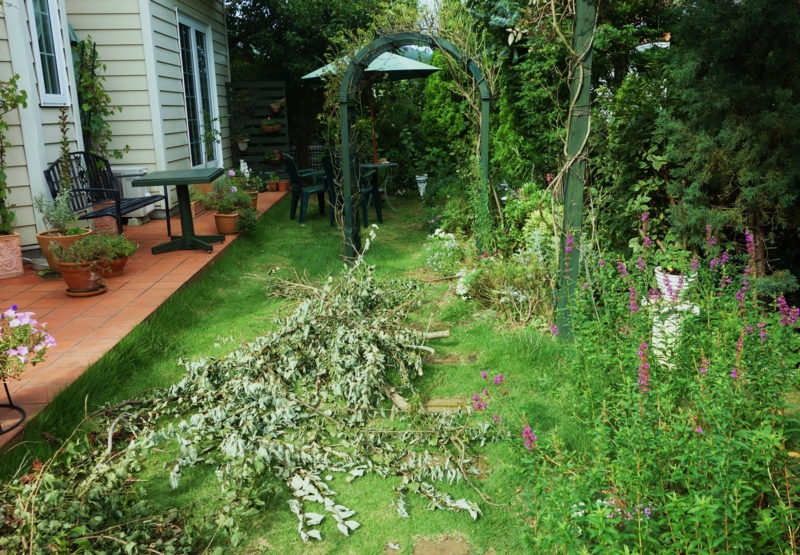 f:id:dancingbrave1986:20150724160401j:image f:id:dancingbrave1986:20150724160401j:image