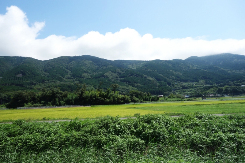 f:id:dancingbrave1986:20150828121837j:image