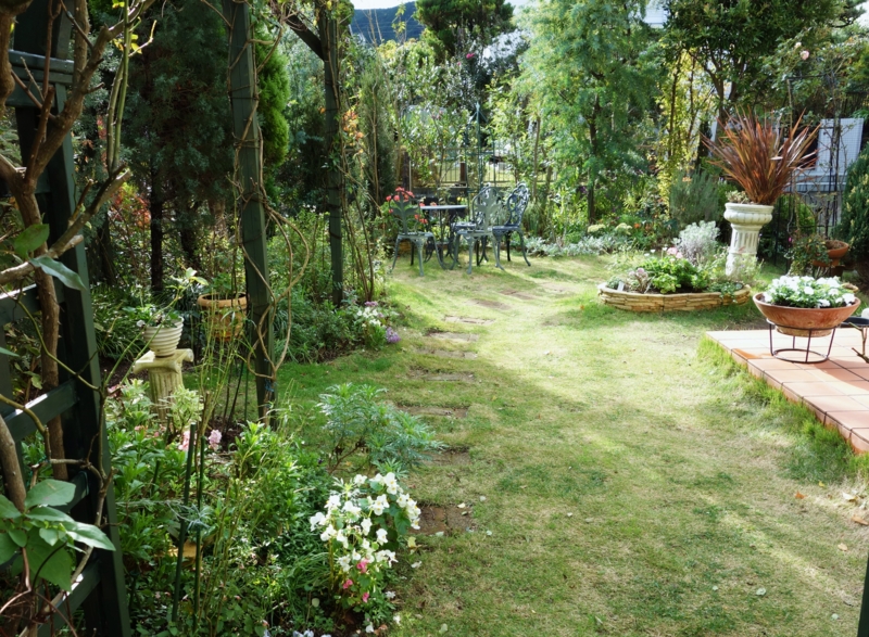 f:id:dancingbrave1986:20151126131605j:image