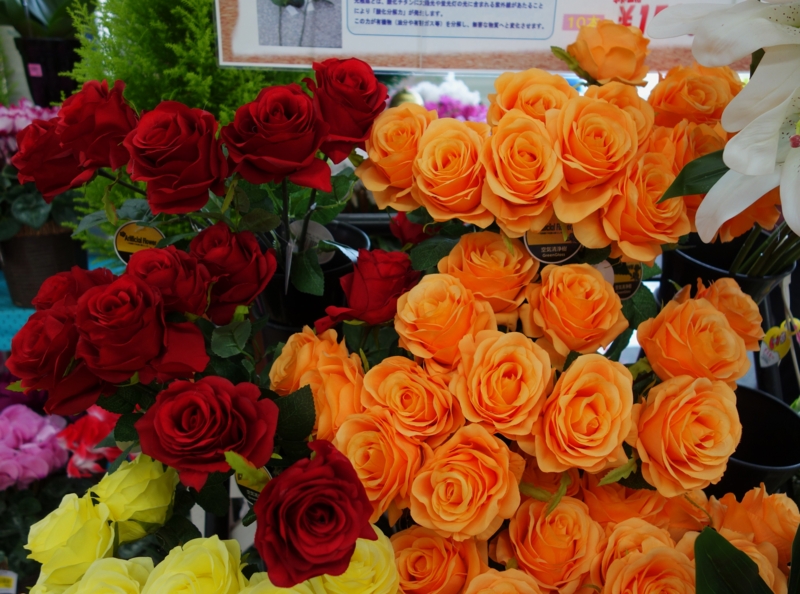 f:id:dancingbrave1986:20151203132710j:image