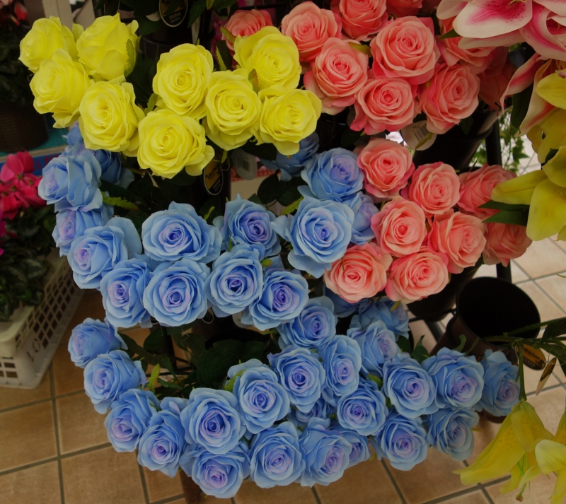 f:id:dancingbrave1986:20151203132823j:image