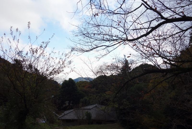 f:id:dancingbrave1986:20151203145529j:image