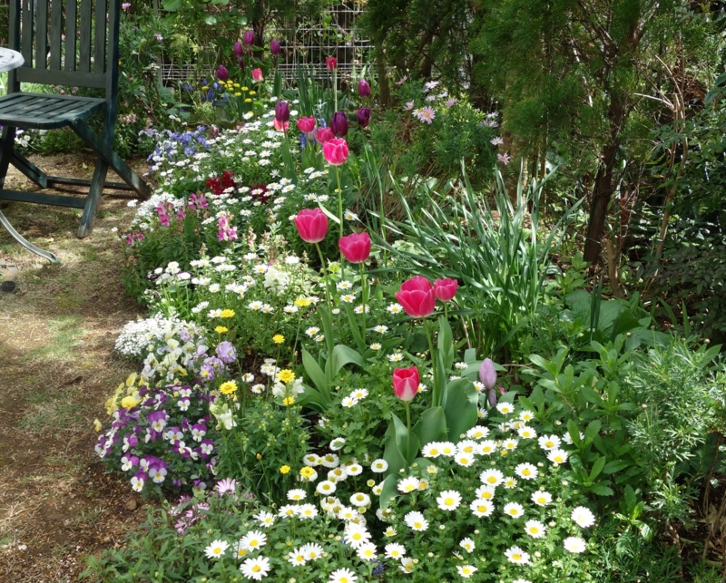 f:id:dancingbrave1986:20160410105204j:image f:id:dancingbrave1986:20160410105204j:image