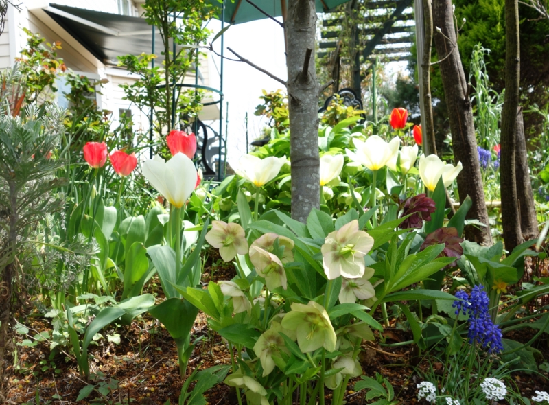 f:id:dancingbrave1986:20160410105545j:image f:id:dancingbrave1986:20160410105545j:image