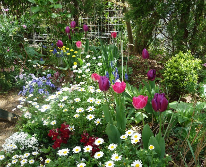 f:id:dancingbrave1986:20160410110348j:image f:id:dancingbrave1986:20160410110348j:image