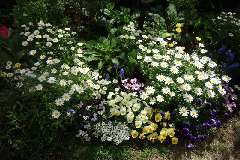 f:id:dancingbrave1986:20160410110531j:image f:id:dancingbrave1986:20160410110531j:image