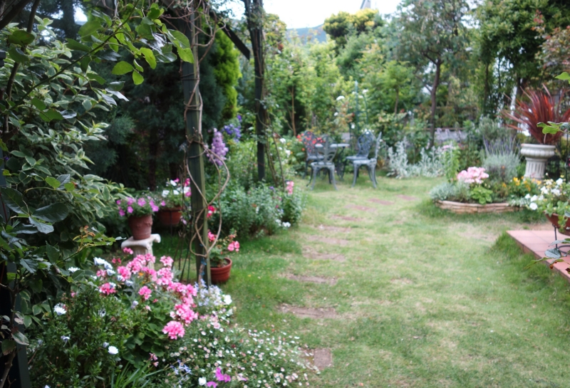 f:id:dancingbrave1986:20160604180234j:image f:id:dancingbrave1986:20160604180234j:image