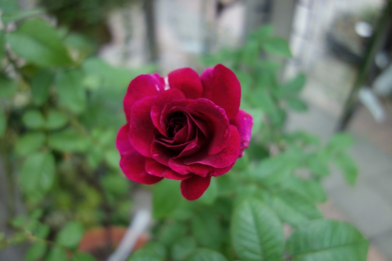 f:id:dancingbrave1986:20160928141518j:image f:id:dancingbrave1986:20160928141518j:image