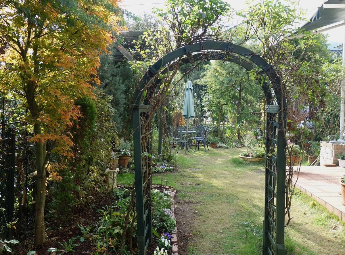 f:id:dancingbrave1986:20161205133726j:plain f:id:dancingbrave1986:20161205133726j:plain