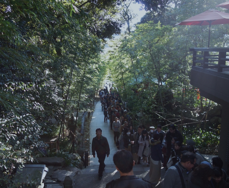 f:id:dancingbrave1986:20170102134645j:image f:id:dancingbrave1986:20170102134645j:image