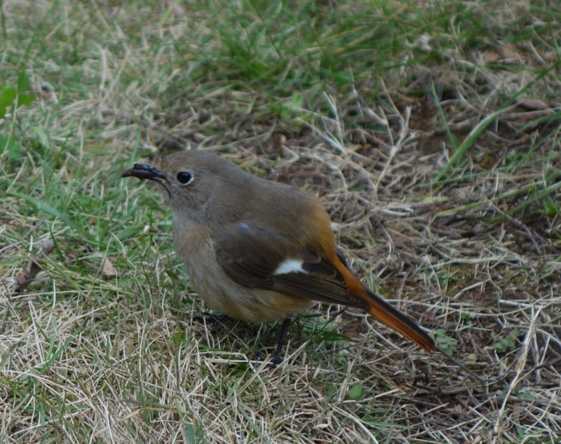 f:id:dancingbrave1986:20170108105528j:image f:id:dancingbrave1986:20170108105528j:image