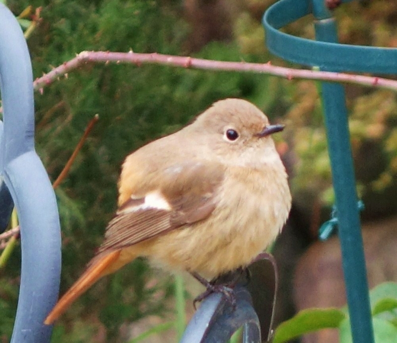 f:id:dancingbrave1986:20170108105643j:image f:id:dancingbrave1986:20170108105643j:image