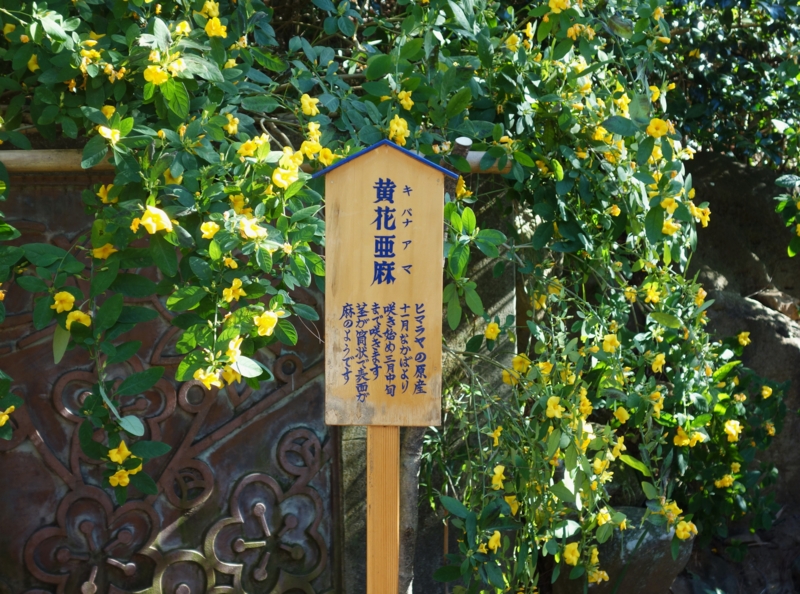 f:id:dancingbrave1986:20170123103615j:image f:id:dancingbrave1986:20170123103615j:image