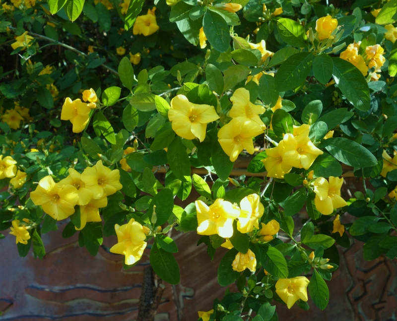 f:id:dancingbrave1986:20170123103630j:image f:id:dancingbrave1986:20170123103630j:image