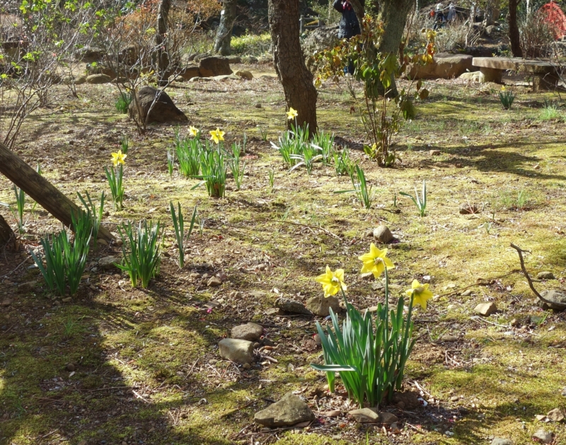 f:id:dancingbrave1986:20170123104300j:image f:id:dancingbrave1986:20170123104300j:image