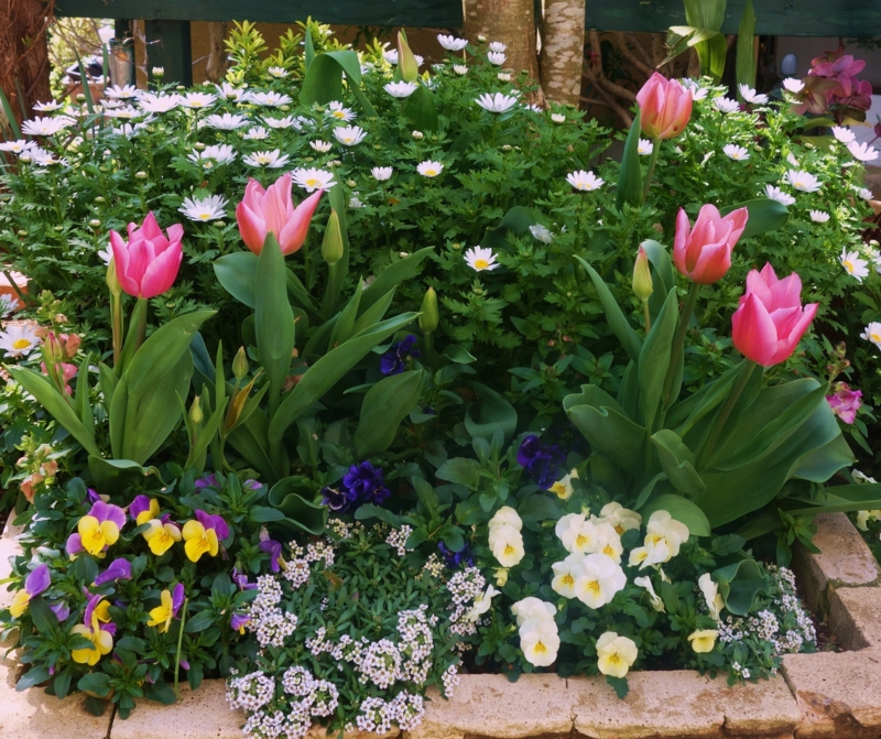 f:id:dancingbrave1986:20170416092737j:image f:id:dancingbrave1986:20170416092737j:image